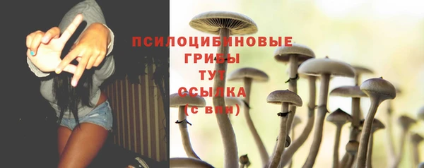 ALPHA-PVP Медногорск