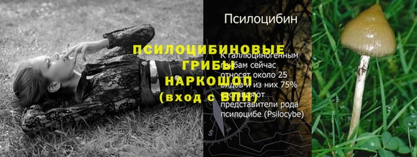СК Михайловка