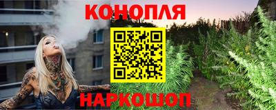 индика Балашиха