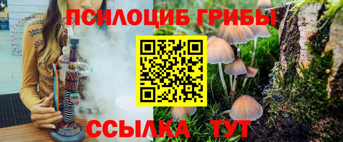 Богданович  Галлюциногенные грибы мицелий  Вход с VPN  Галлюциногенные грибы ЛСД 