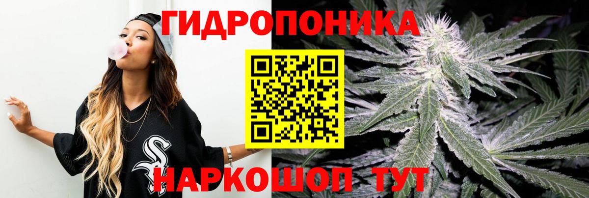 МАРИХУАНА SATIVA & INDICA  Богданович  Шишки марихуана сатива  Бошки марихуана Bruce Banner 